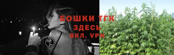 ECSTASY Краснослободск
