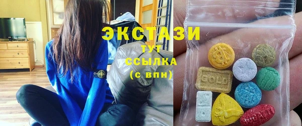 ECSTASY Краснослободск