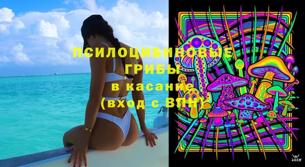 ECSTASY Краснослободск