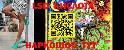 крисы Гусев