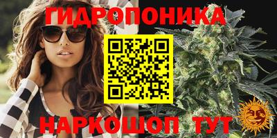 крисы Гусев