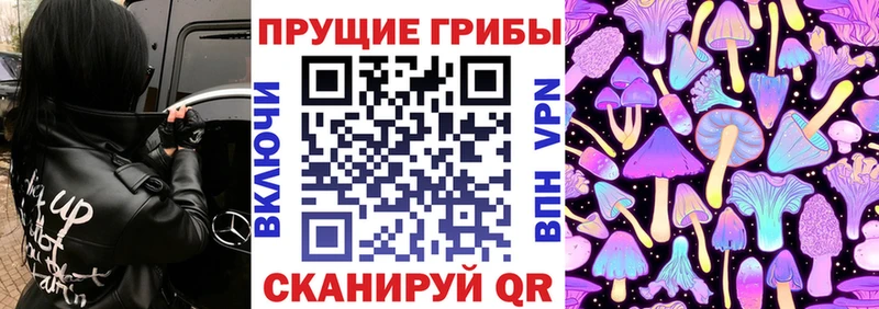 Псилоцибиновые грибы мицелий  закладка  Геленджик 
