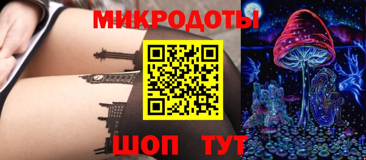 Галлюциногенные грибы Cubensis Геленджик